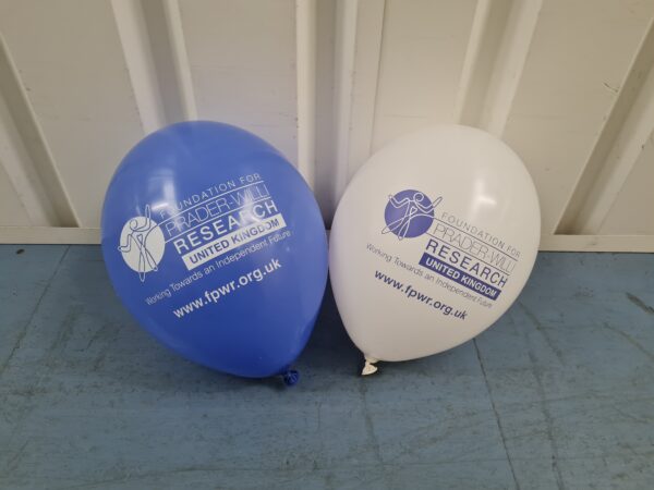 FPWR UK Balloons | 10 Pack Blue & White Balloons